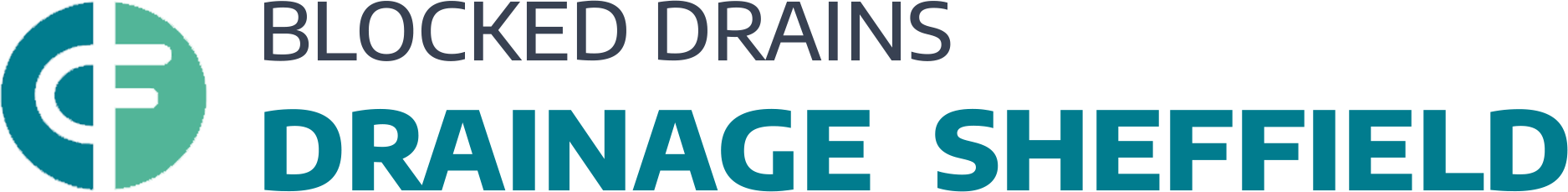 website logo